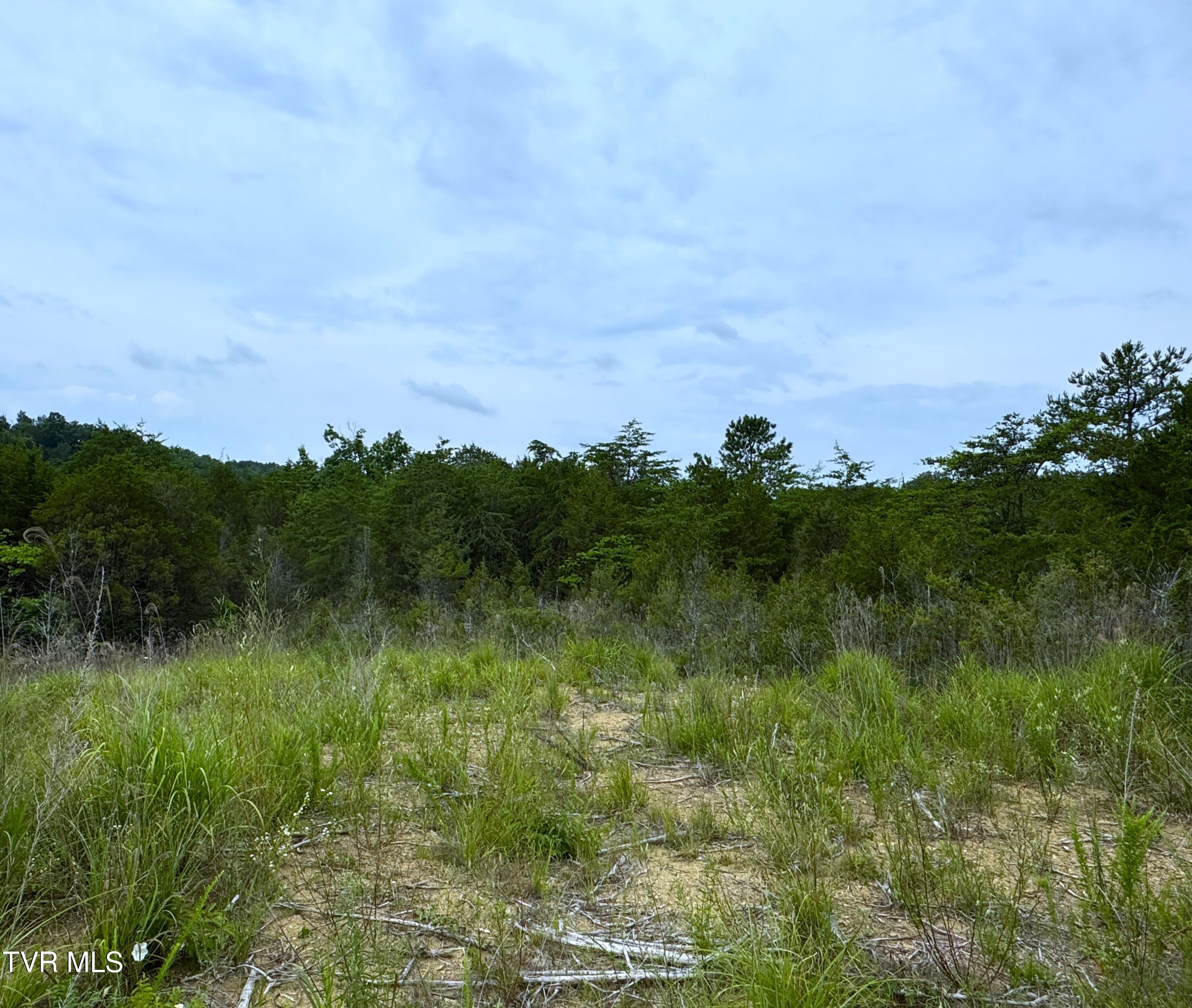 5-acres Jim Henry Road Dandridge, TN 37725 - Photo 12 of 26 11