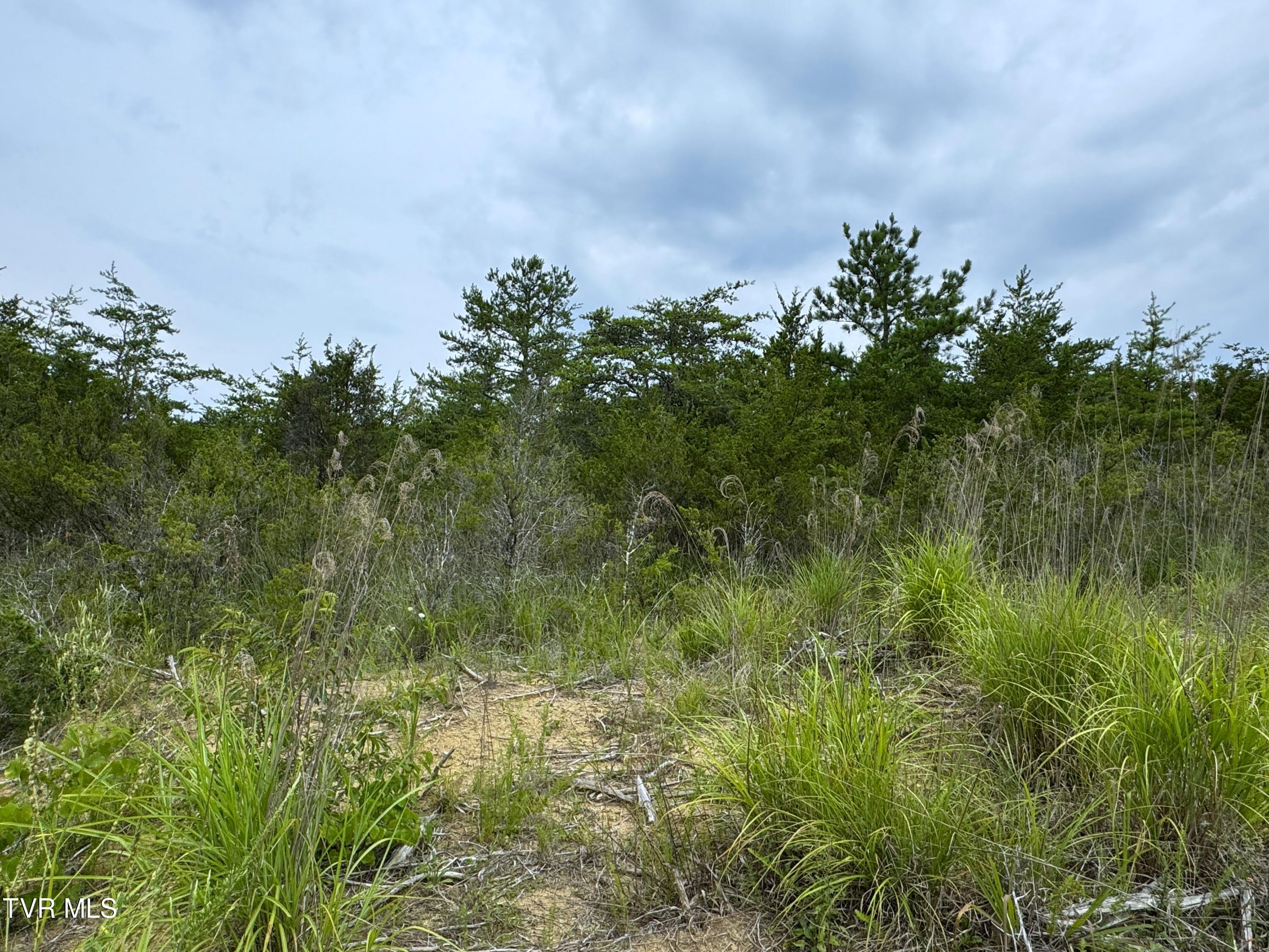 5-acres Jim Henry Road Dandridge, TN 37725 - Photo 15 of 26 14