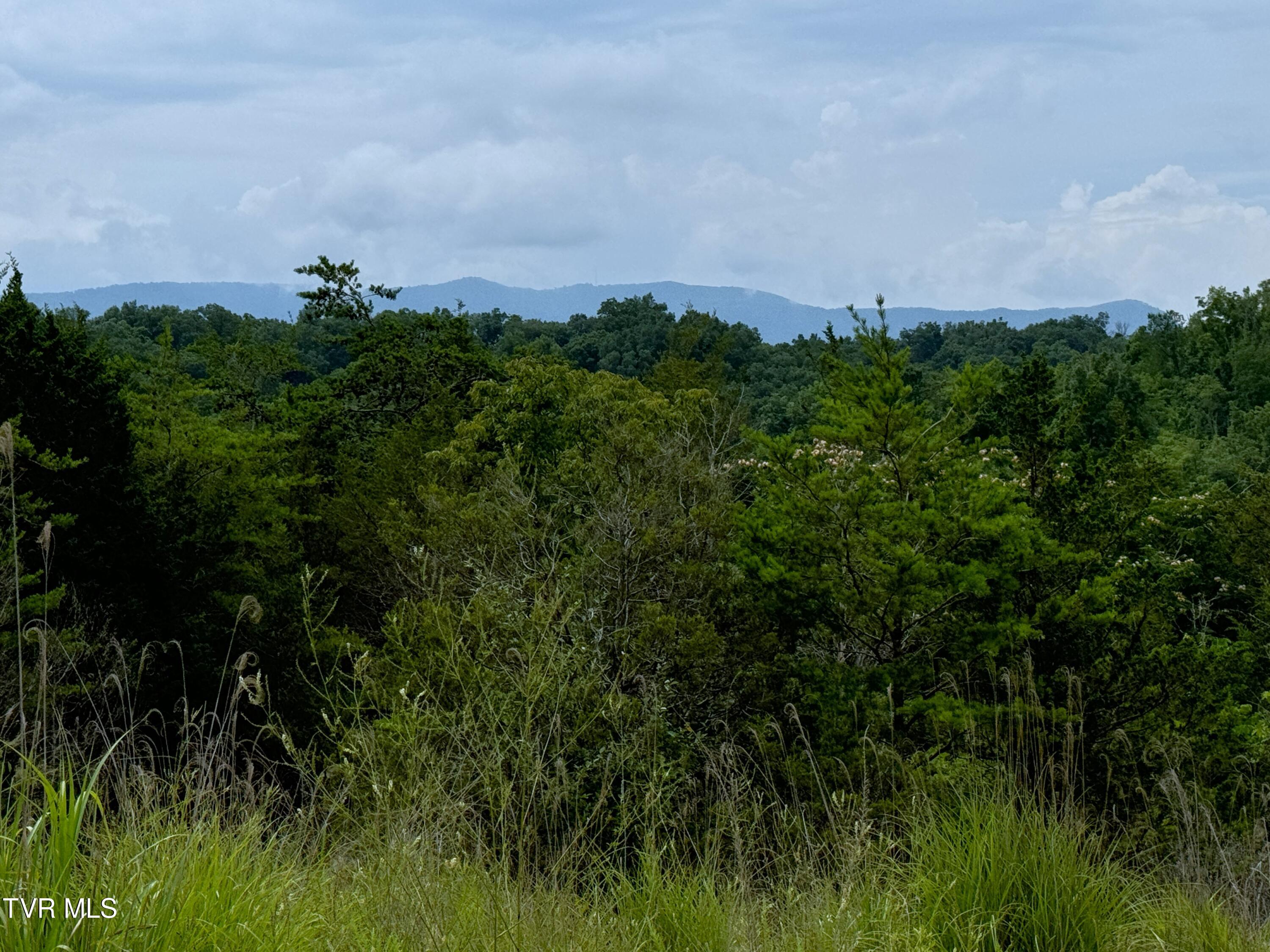 5-acres Jim Henry Road Dandridge, TN 37725 - Photo 18 of 26 16