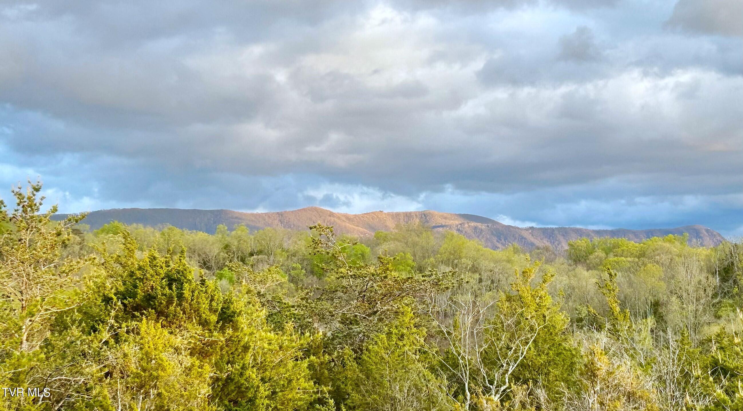 5-acres Jim Henry Road Dandridge, TN 37725 - Photo 19 of 26 16a