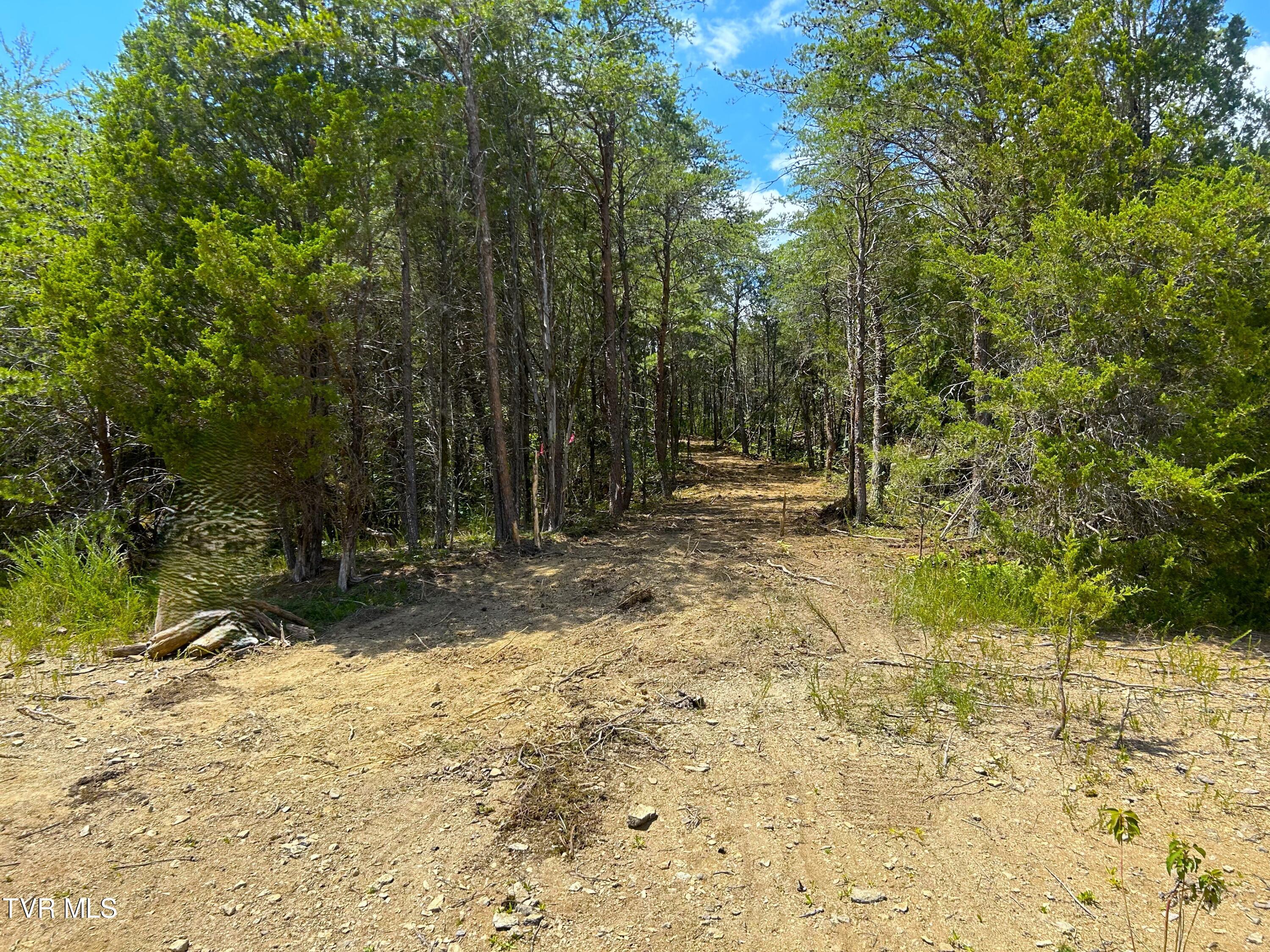 5-acres Jim Henry Road Dandridge, TN 37725 - Photo 22 of 26 16b