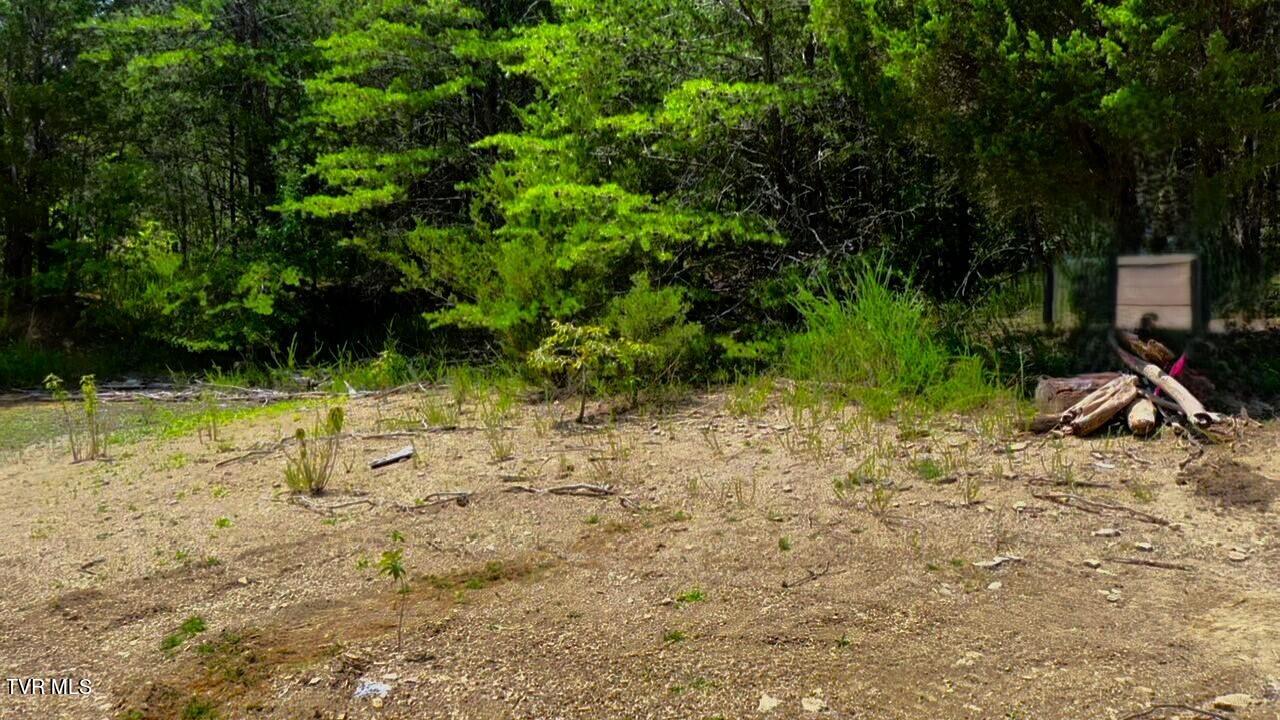 5-acres Jim Henry Road Dandridge, TN 37725 - Photo 23 of 26 16c