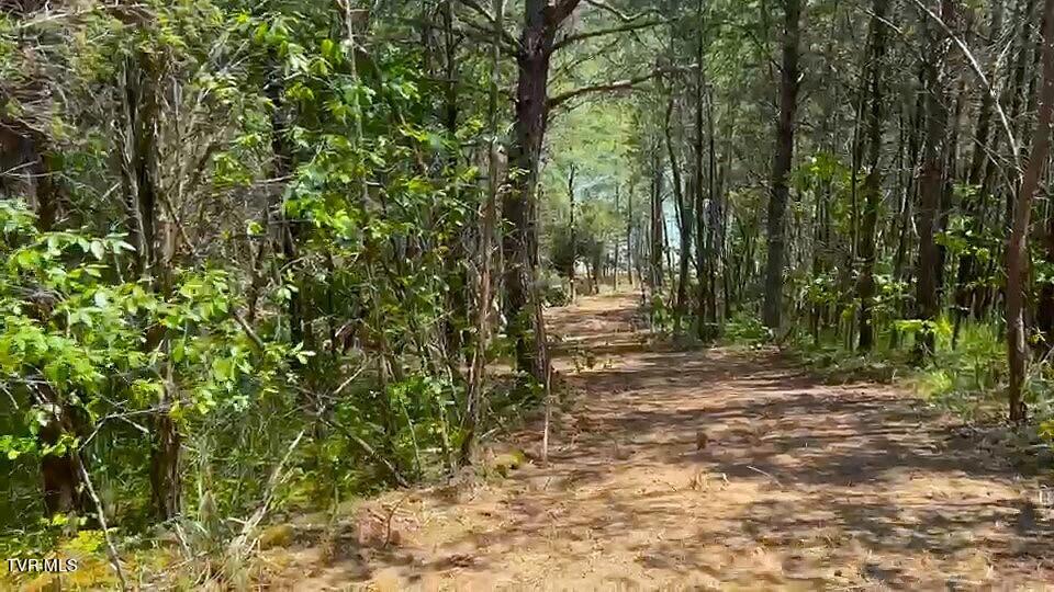 5-acres Jim Henry Road Dandridge, TN 37725 - Photo 24 of 26 16d