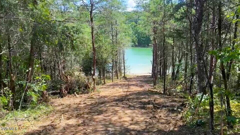 5-acres Jim Henry Road Dandridge, TN 37725 - Photo 25 of 26 16e