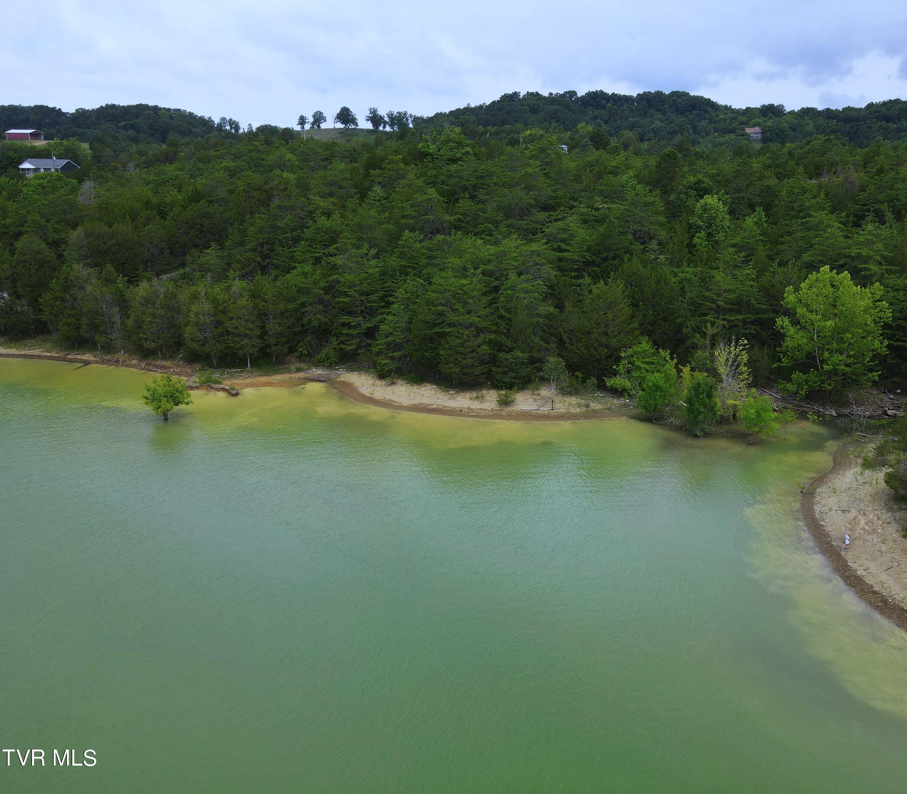 5-acres Jim Henry Road Dandridge, TN 37725 - Photo 4 of 26 3