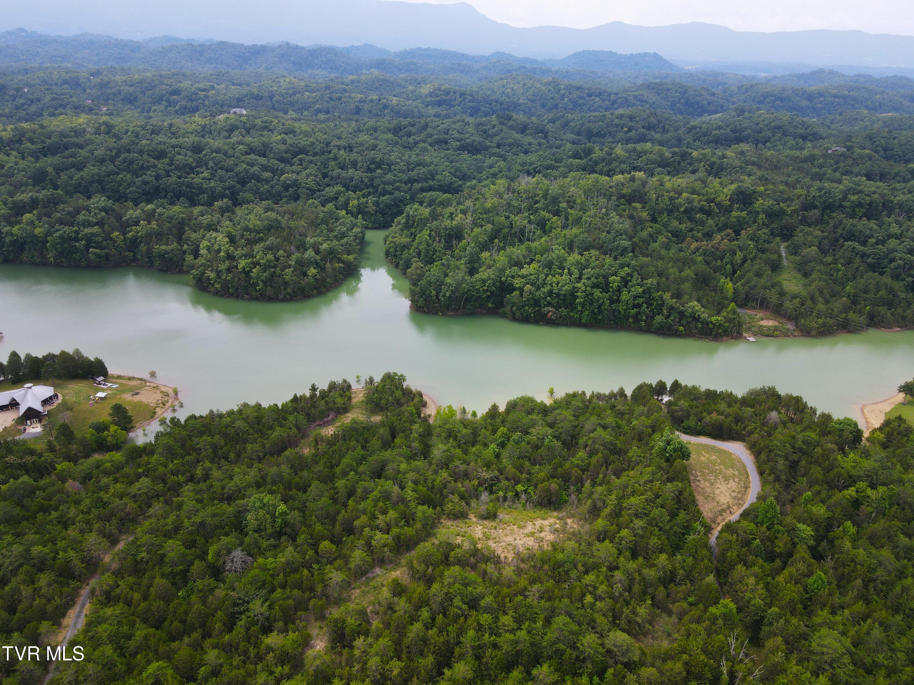 5-acres Jim Henry Road Dandridge, TN 37725 - Photo 6 of 26 5