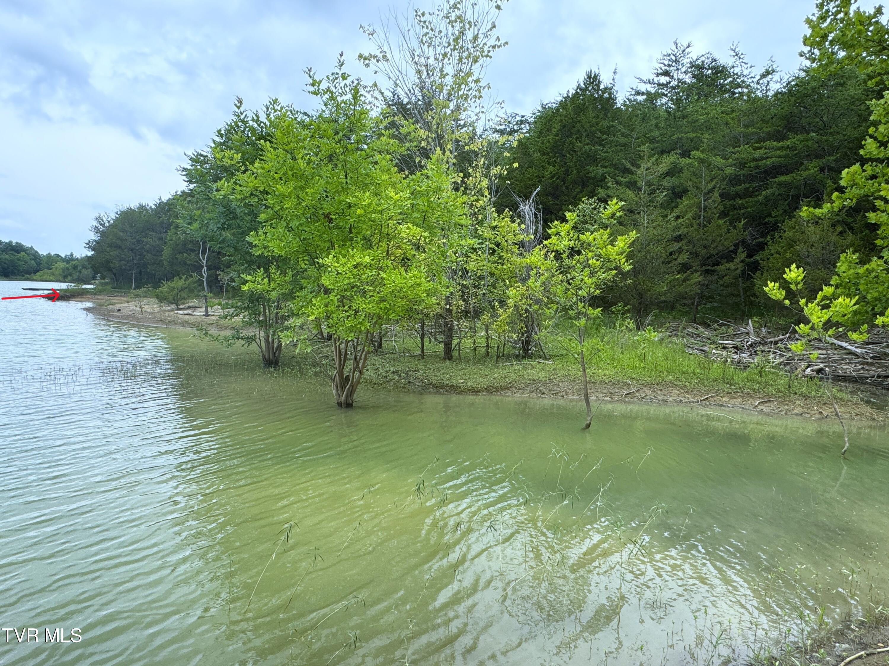 5-acres Jim Henry Road Dandridge, TN 37725 - Photo 8 of 26 7