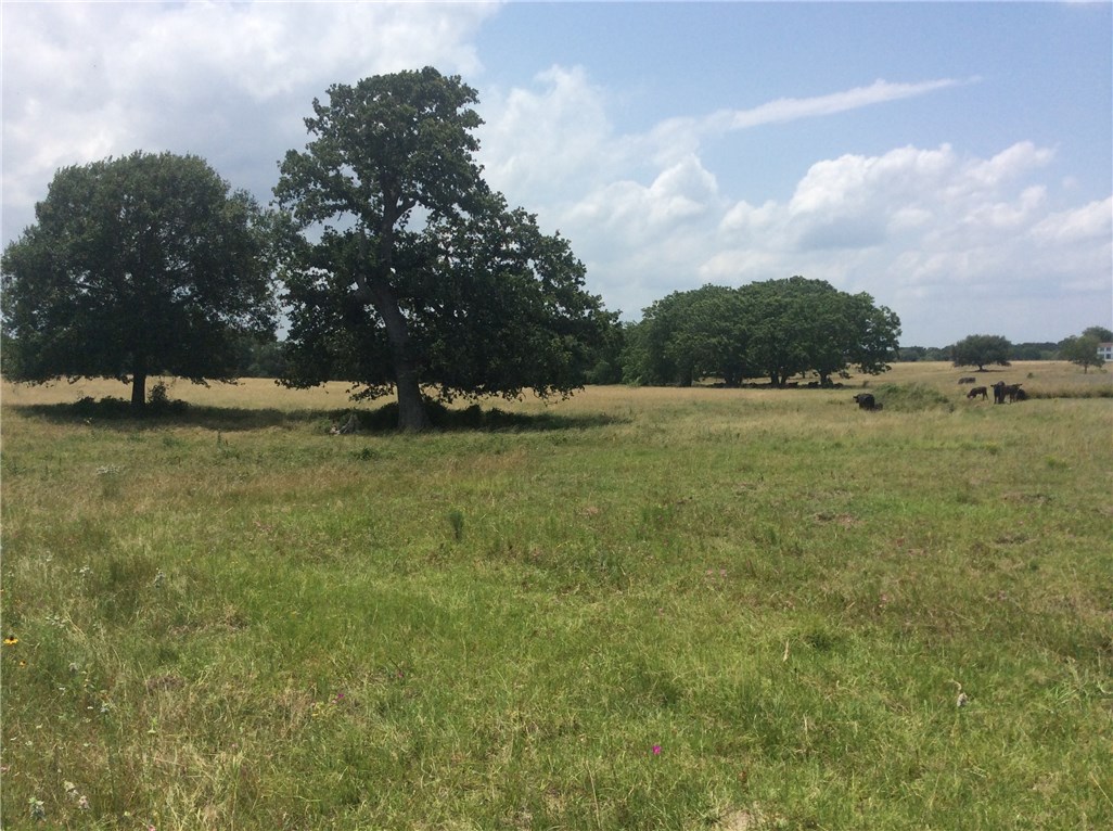 0 Eberhardt Road Burton, TX 77835 - Photo 1 of 1