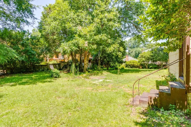 a view of a backyard with large trees
