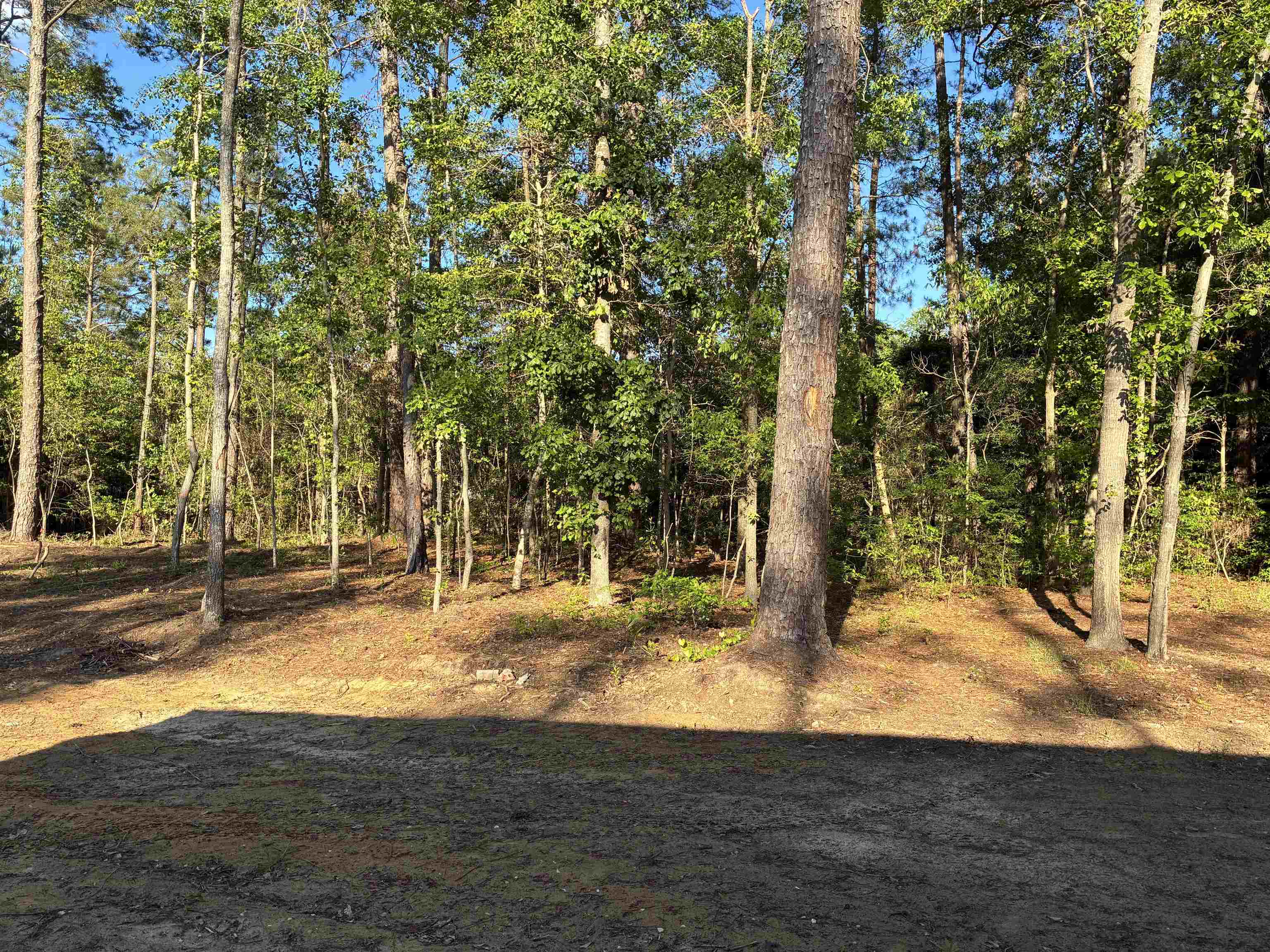 2252 Starduster Lane Little River, SC 29566 - Photo 12 of 29