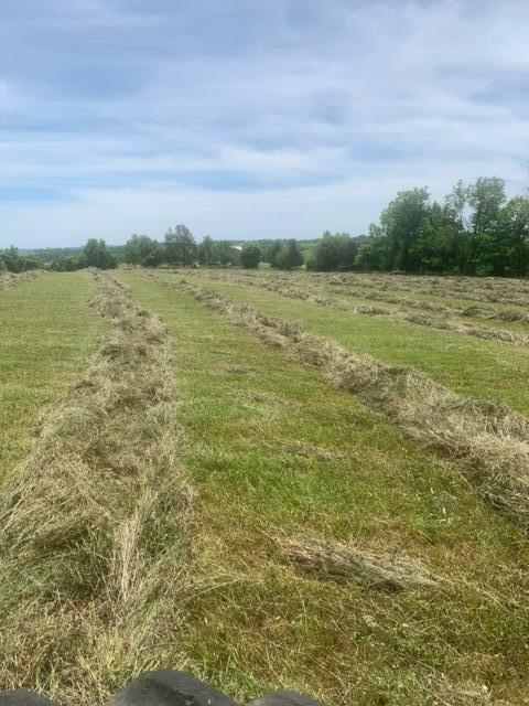 4037 Howards Mill Road Mount Sterling, KY 40353 - Photo 22 of 26 b8