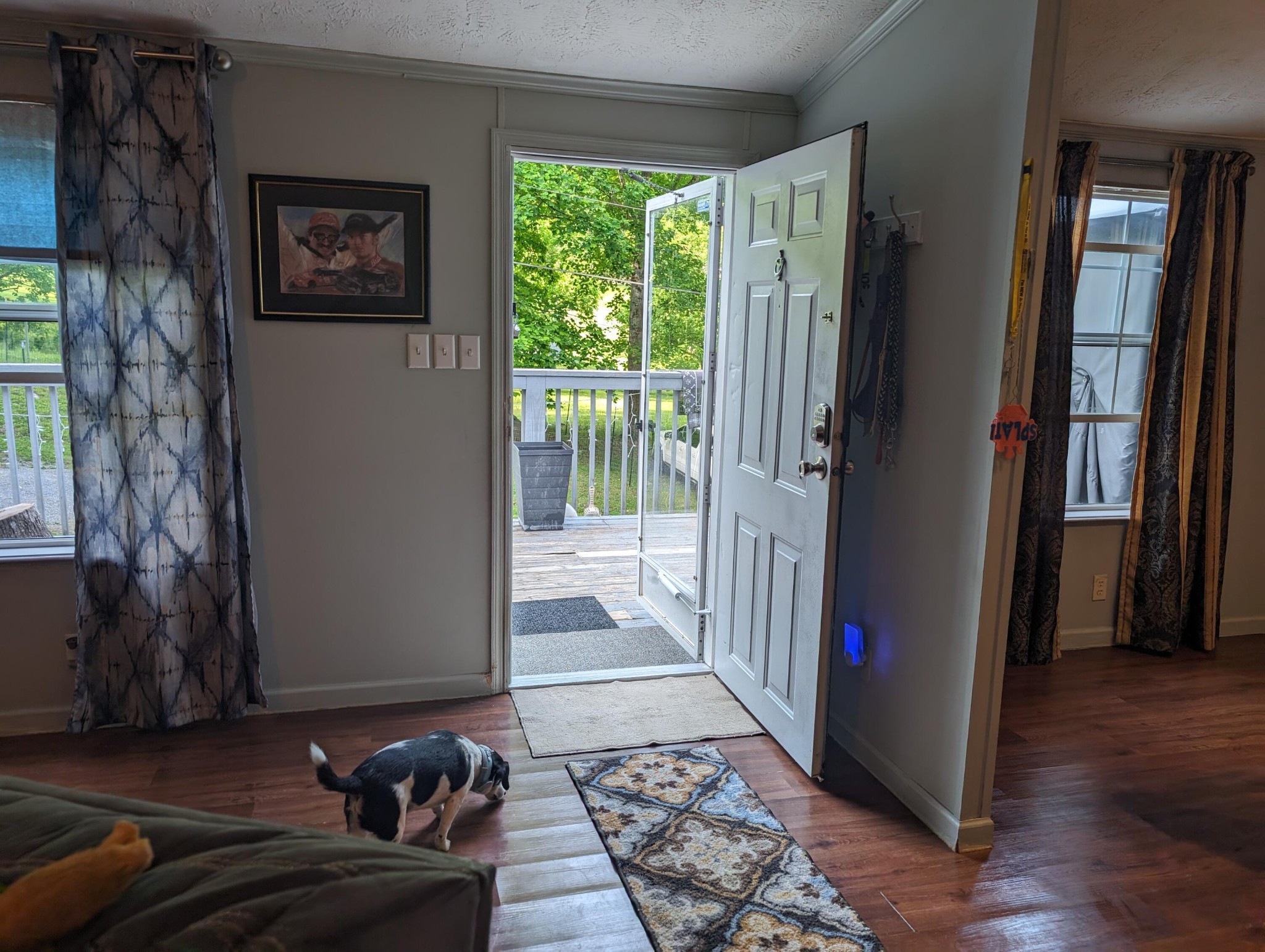 756 Blowing Cave Road Sevierville, TN 37876 - Photo 5 of 59