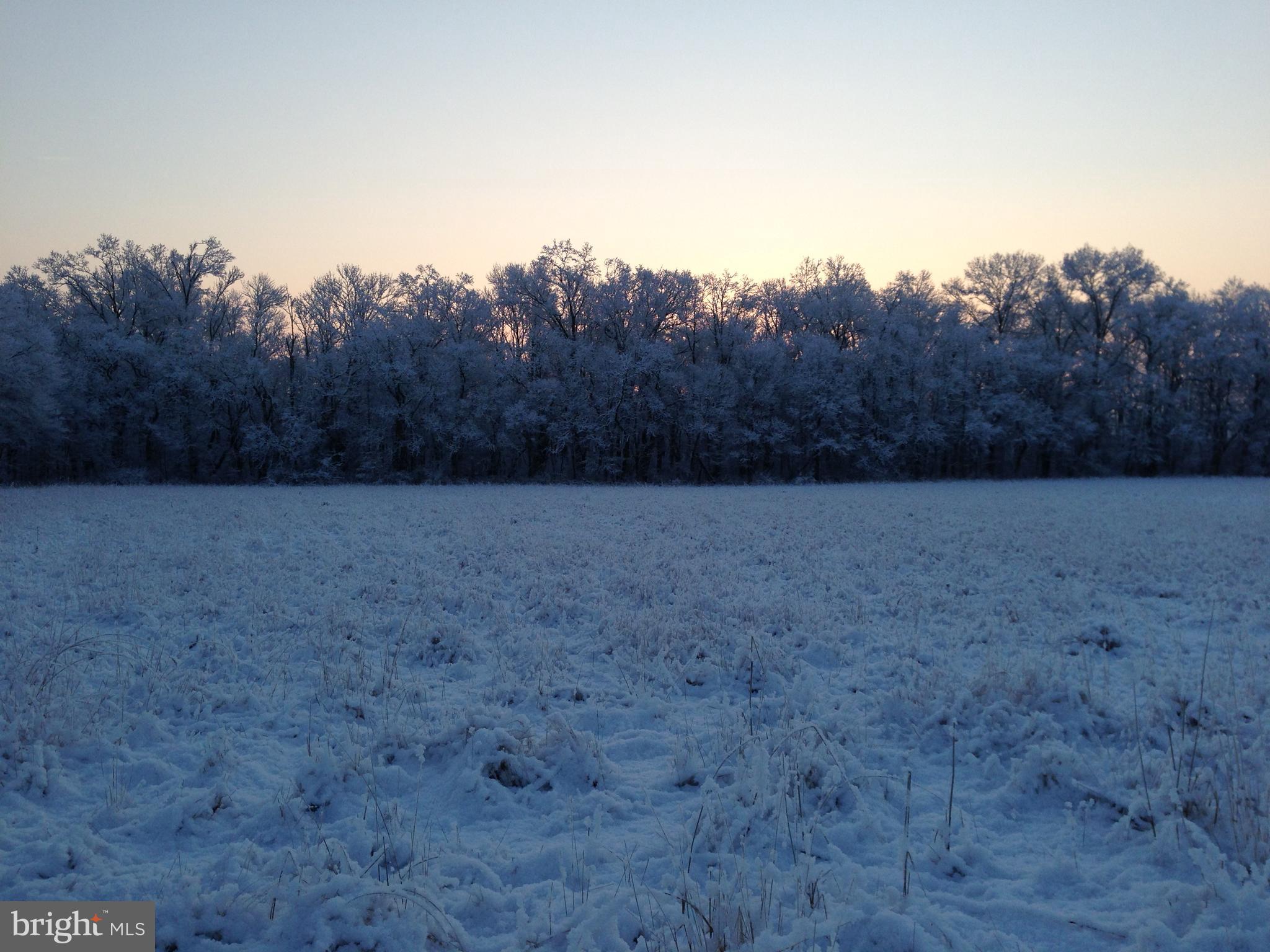 35 Barbertown Point Breeze Road Frenchtown, NJ 08825 - Photo 39 of 43 a view of basketball court