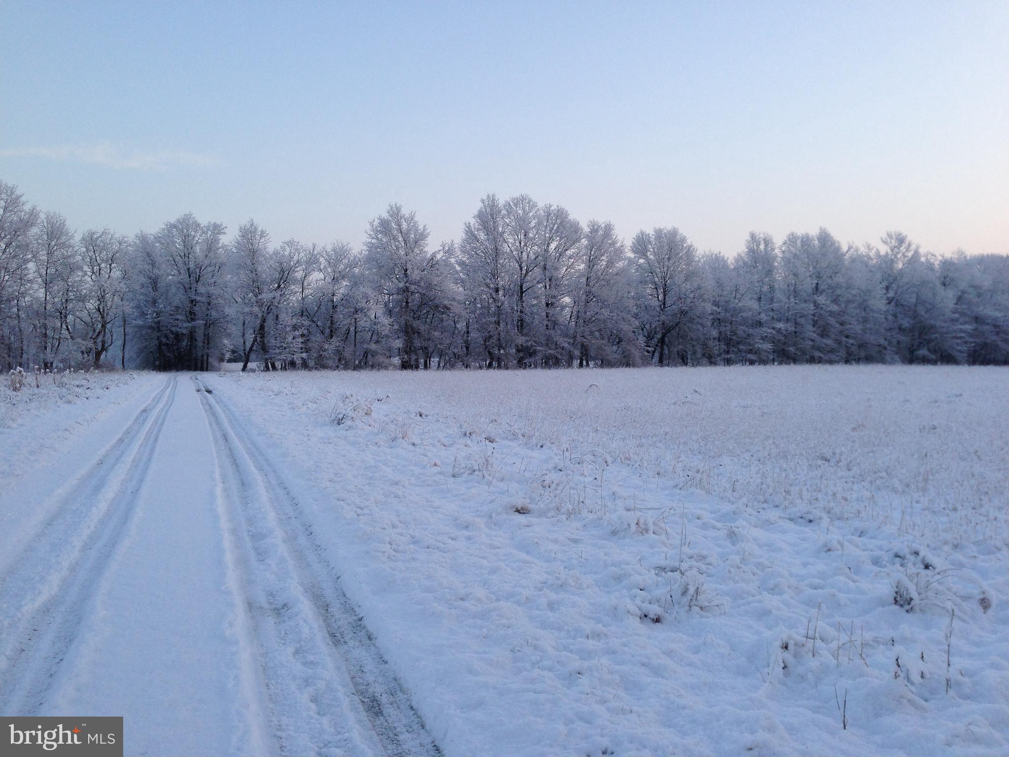 35 Barbertown Point Breeze Road Frenchtown, NJ 08825 - Photo 40 of 43 a view of yard