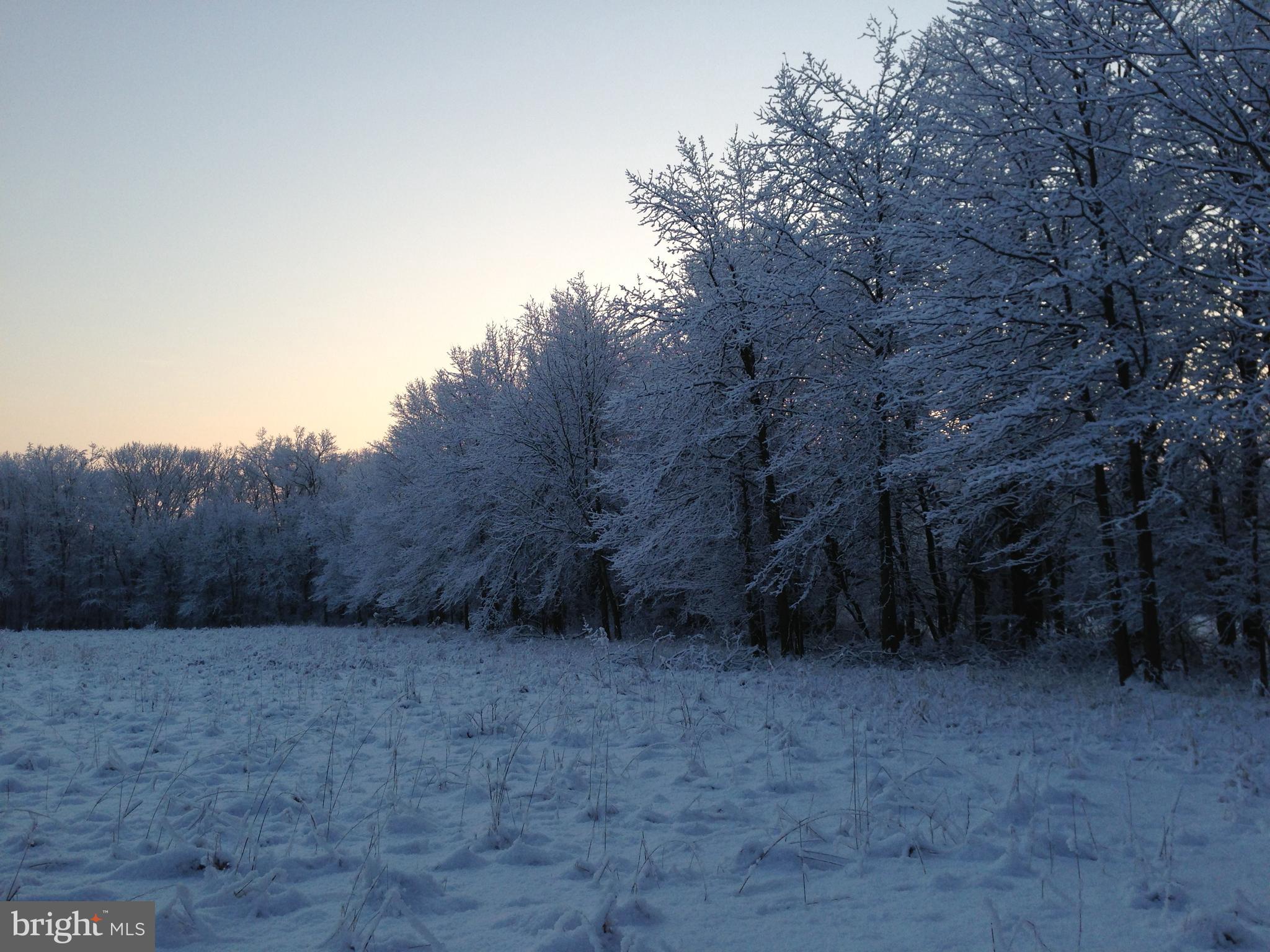 35 Barbertown Point Breeze Road Frenchtown, NJ 08825 - Photo 41 of 43 a view of a backyard of the house