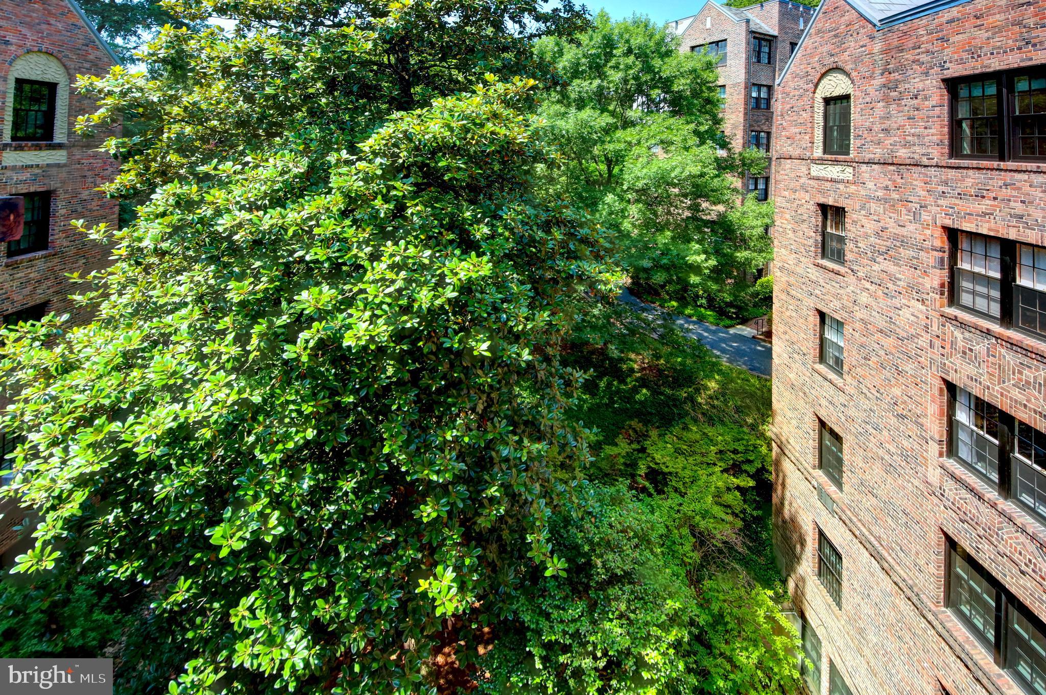 3000 Tilden Street Northwest, Unit 503I Washington, DC 20008 - Photo 26 of 60 View from #503-I
