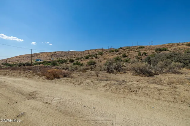 a view of a dry yard