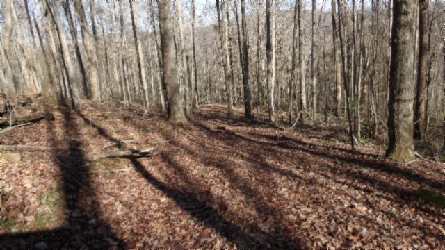 0 Stephens Road Jamestown, TN 38556 - Photo 11 of 53