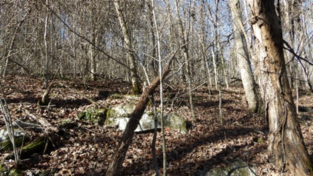 0 Stephens Road Jamestown, TN 38556 - Photo 14 of 53