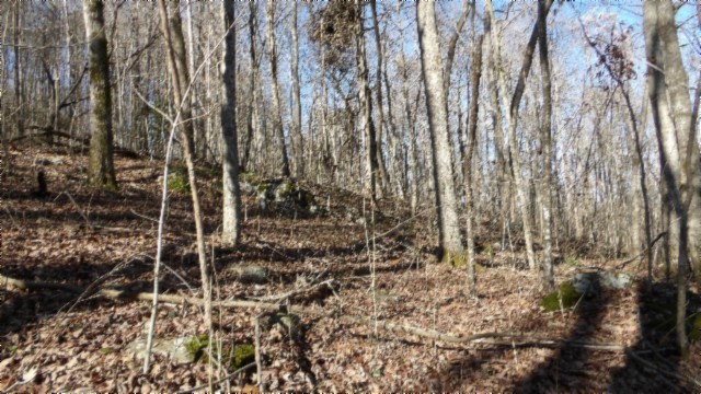 0 Stephens Road Jamestown, TN 38556 - Photo 17 of 53