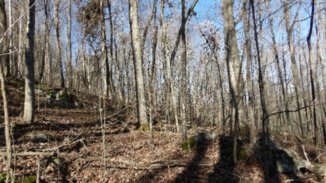 0 Stephens Road Jamestown, TN 38556 - Photo 18 of 53