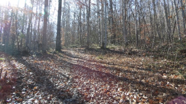 0 Stephens Road Jamestown, TN 38556 - Photo 2 of 53