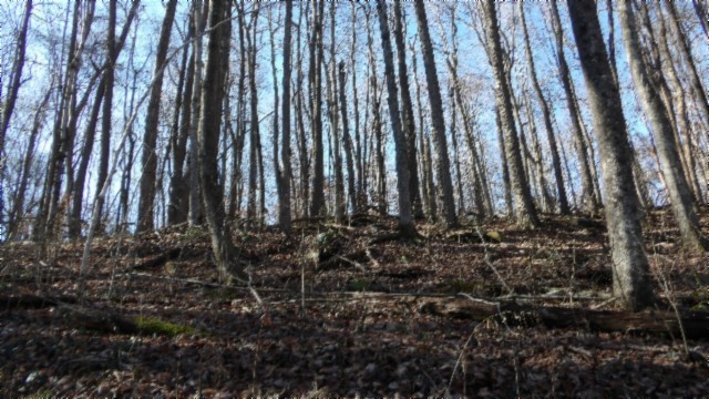 0 Stephens Road Jamestown, TN 38556 - Photo 24 of 53