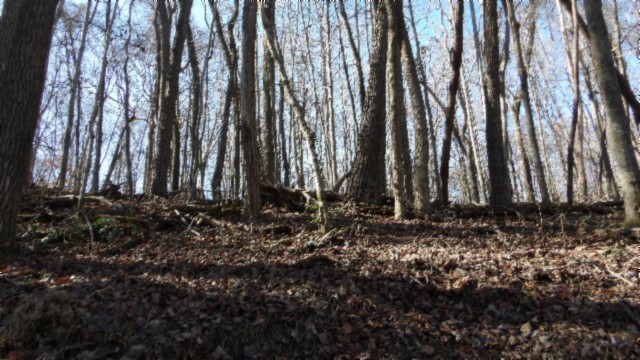0 Stephens Road Jamestown, TN 38556 - Photo 25 of 53