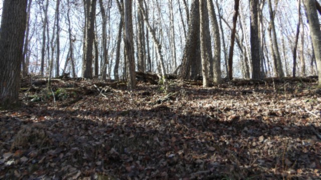 0 Stephens Road Jamestown, TN 38556 - Photo 26 of 53