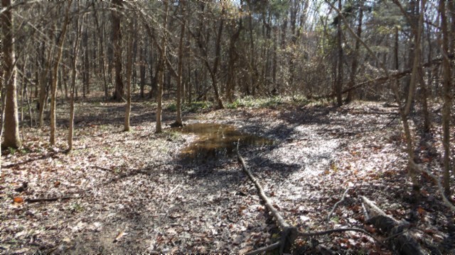 0 Stephens Road Jamestown, TN 38556 - Photo 30 of 53