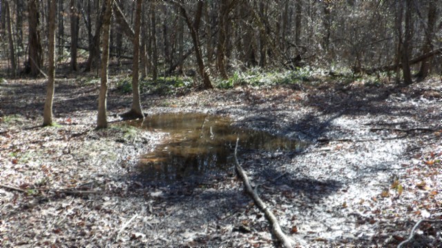 0 Stephens Road Jamestown, TN 38556 - Photo 31 of 53