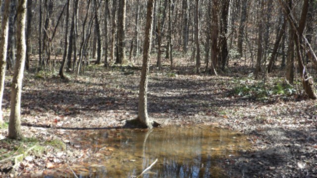 0 Stephens Road Jamestown, TN 38556 - Photo 32 of 53