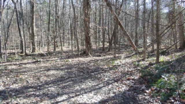0 Stephens Road Jamestown, TN 38556 - Photo 33 of 53