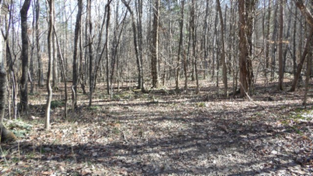 0 Stephens Road Jamestown, TN 38556 - Photo 34 of 53