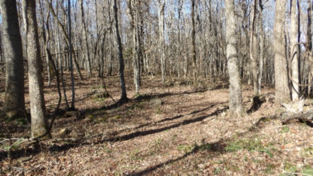 0 Stephens Road Jamestown, TN 38556 - Photo 36 of 53