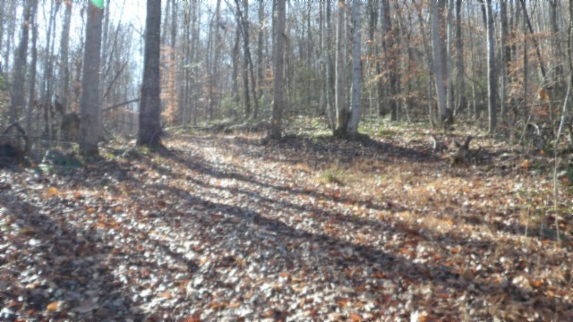 0 Stephens Road Jamestown, TN 38556 - Photo 4 of 53