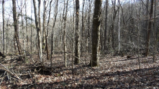 0 Stephens Road Jamestown, TN 38556 - Photo 41 of 53