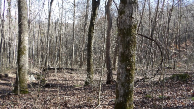 0 Stephens Road Jamestown, TN 38556 - Photo 42 of 53