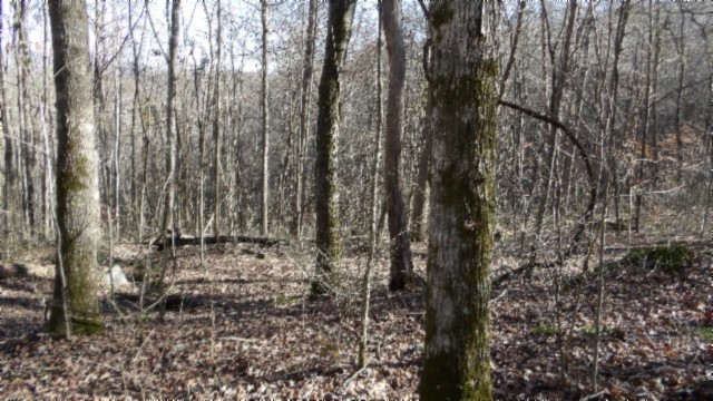 0 Stephens Road Jamestown, TN 38556 - Photo 44 of 53