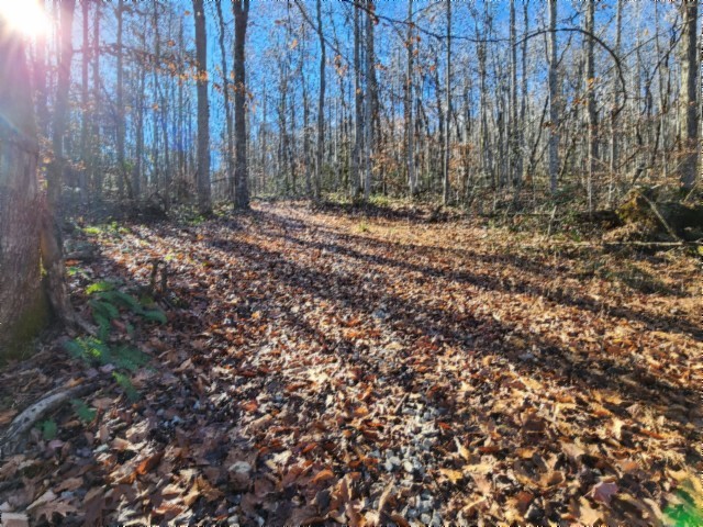 0 Stephens Road Jamestown, TN 38556 - Photo 47 of 53