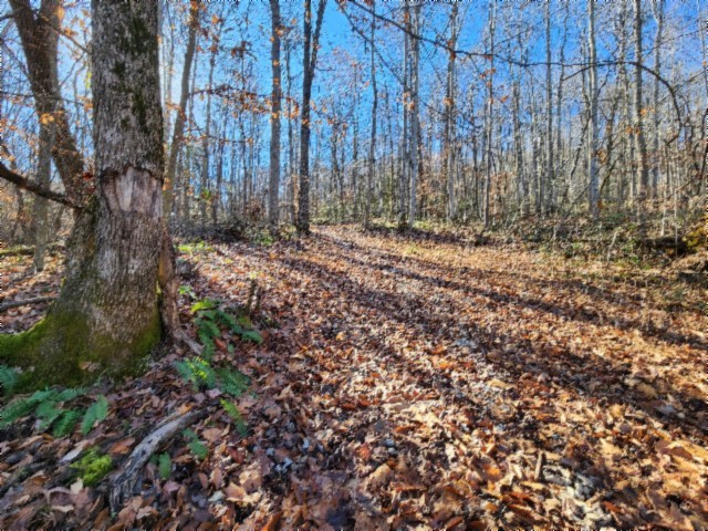 0 Stephens Road Jamestown, TN 38556 - Photo 49 of 53