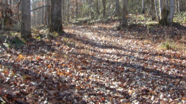 0 Stephens Road Jamestown, TN 38556 - Photo 5 of 53