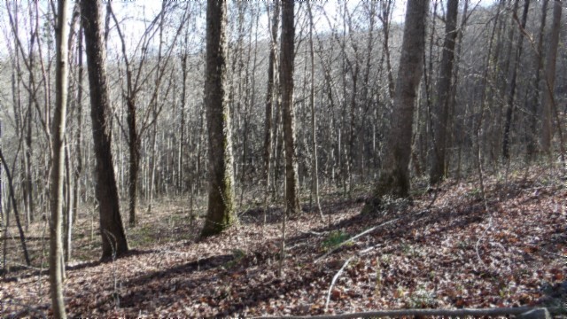 0 Stephens Road Jamestown, TN 38556 - Photo 51 of 53