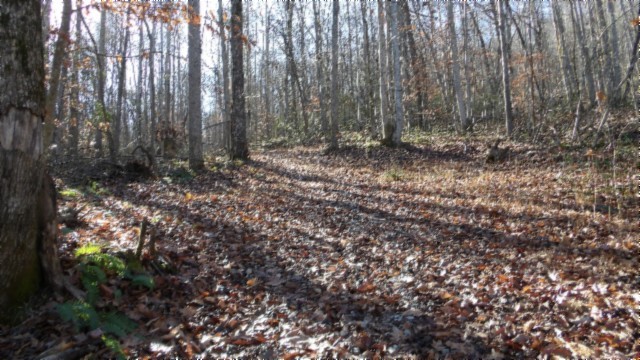 0 Stephens Road Jamestown, TN 38556 - Photo 6 of 53