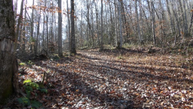 0 Stephens Road Jamestown, TN 38556 - Photo 7 of 53