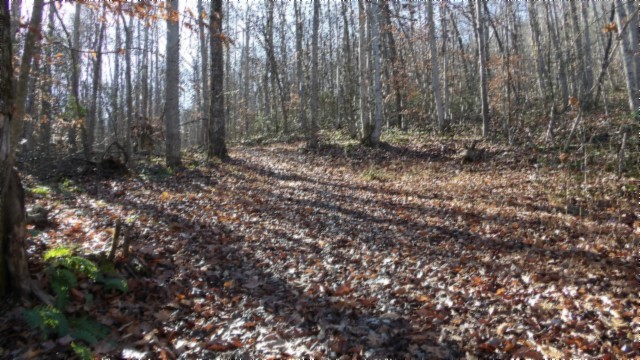 0 Stephens Road Jamestown, TN 38556 - Photo 8 of 53