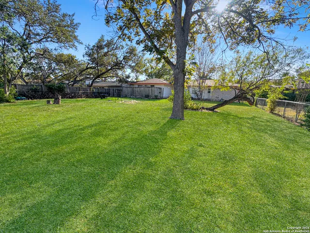 a view of yard with green space