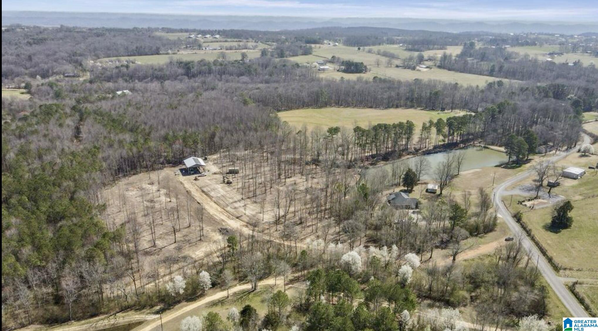 657 Maze Road Arab, AL 35016 - Photo 2 of 18