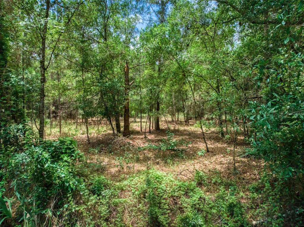 5101 Whippoorwill Road Sebring, FL 33875 - Photo 1 of 18