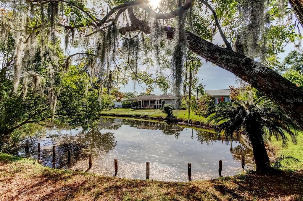 3522 Player Drive New Port Richey, FL 34655 - Photo 43 of 52 Gallery Image 43